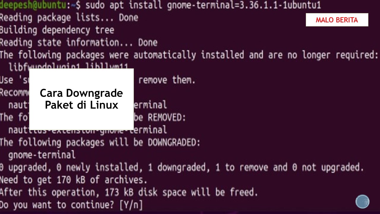 Cara Downgrade Paket di Linux