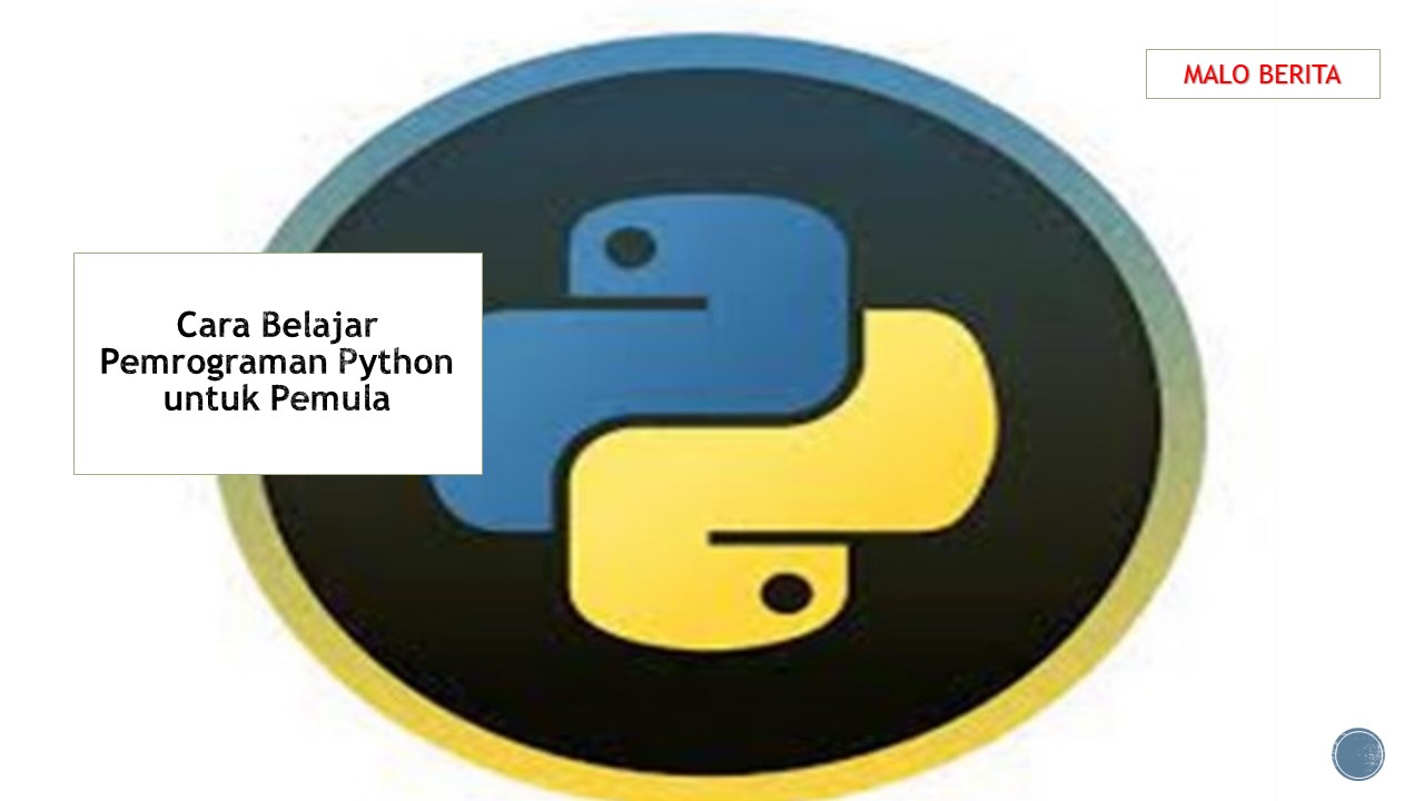 Cara Belajar Pemrograman Python untuk Pemula