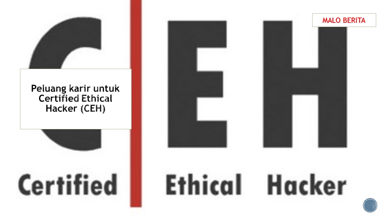 Peluang karir untuk Certified Ethical Hacker (CEH)