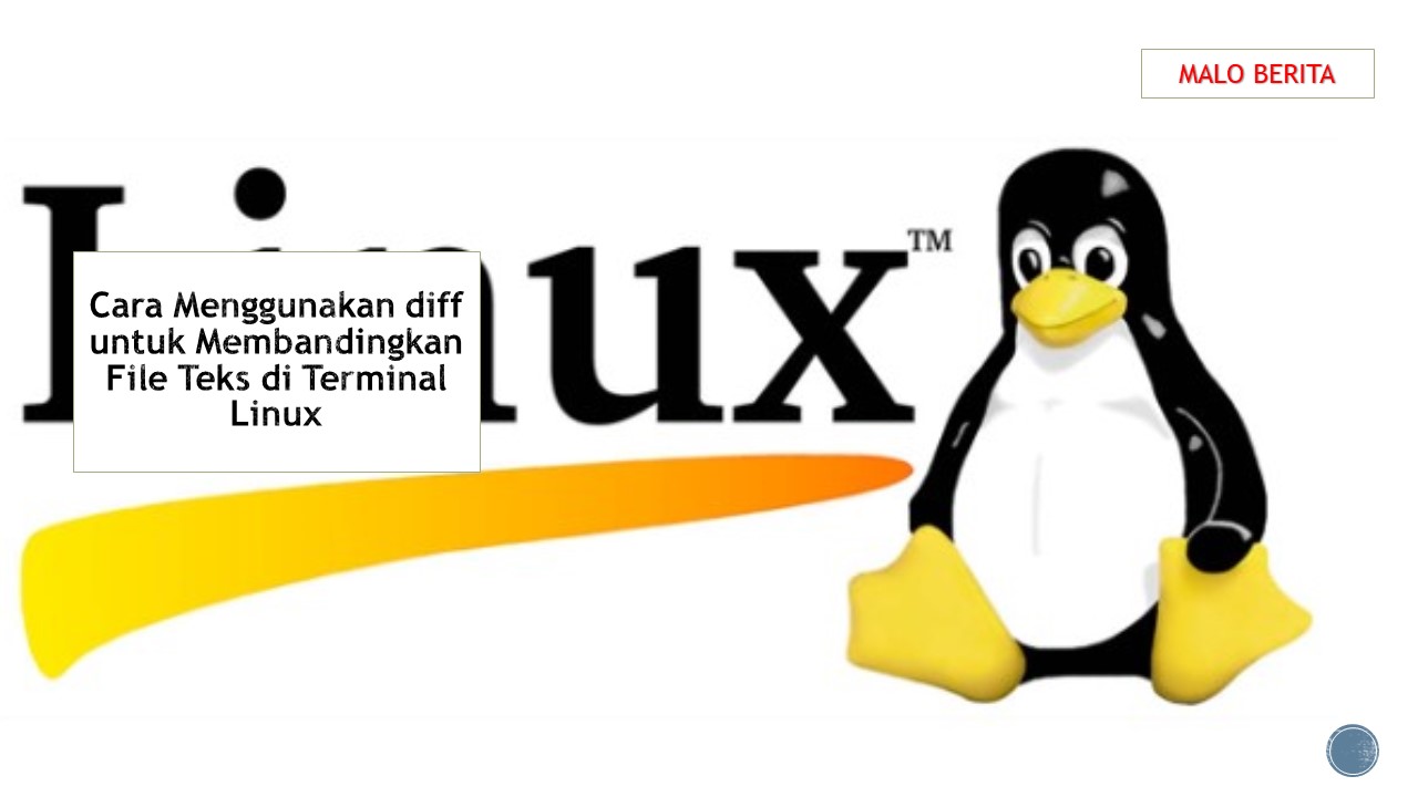 Cara Menggunakan diff untuk Membandingkan File Teks di Terminal Linux