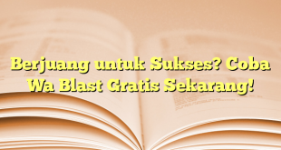 Berjuang untuk Sukses? Coba Wa Blast Gratis Sekarang!