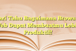 Cari Tahu Bagaimana Browser Web Dapat Membuatmu Lebih Produktif!