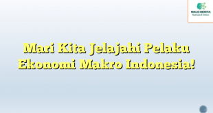 Mari Kita Jelajahi Pelaku Ekonomi Makro Indonesia!
