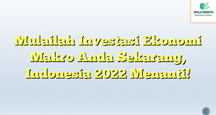 Mulailah Investasi Ekonomi Makro Anda Sekarang, Indonesia 2022 Menanti!