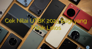 Cek Nilai UTBK 2023 Bagi yang Tidak Lolos