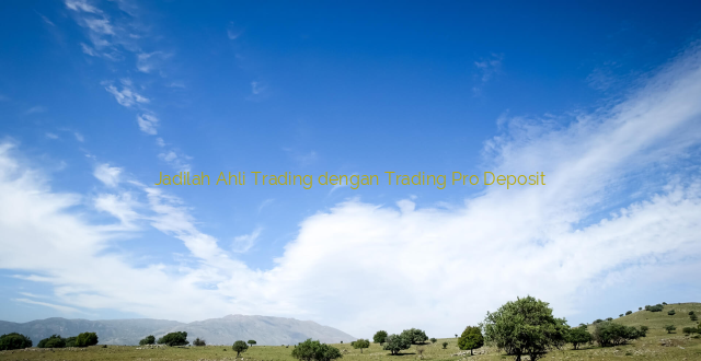 Jadilah Ahli Trading dengan Trading Pro Deposit