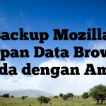 Backup Mozilla: Simpan Data Browser Anda dengan Aman