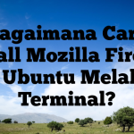 Bagaimana Cara Install Mozilla Firefox di Ubuntu Melalui Terminal?
