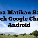 Cara Matikan Safe Search Google Chrome Android