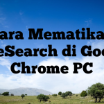 Cara Mematikan SafeSearch di Google Chrome PC