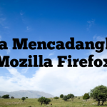 Cara Mencadangkan Mozilla Firefox