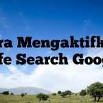 Cara Mengaktifkan Safe Search Google