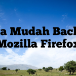 Cara Mudah Backup Mozilla Firefox