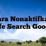 Cara Nonaktifkan Safe Search Google