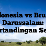 Indonesia vs Brunei Darussalam: Pertandingan Seru