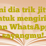 Ini dia trik jitu untuk mengirim pesan WhatsApp ke sayangmu!