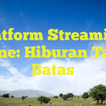 Platform Streaming Online: Hiburan Tanpa Batas