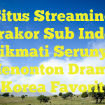 Situs Streaming Drakor Sub Indo: Nikmati Serunya Menonton Drama Korea Favorit