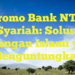Promo Bank NTB Syariah: Solusi Keuangan Islami yang Menguntungkan
