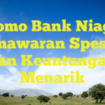 Promo Bank Niaga: Penawaran Spesial dan Keuntungan Menarik