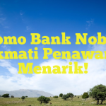 Promo Bank Nobu – Nikmati Penawaran Menarik!