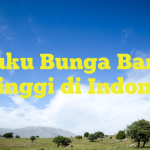 Suku Bunga Bank Tertinggi di Indonesia